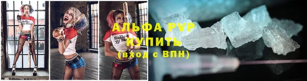 гидра Алексин